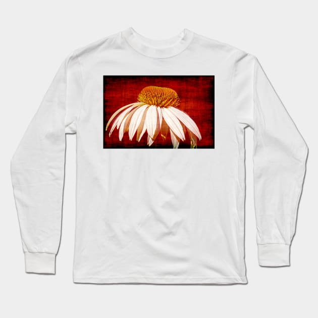 A Single Daisy On A Red Background Long Sleeve T-Shirt by JimDeFazioPhotography